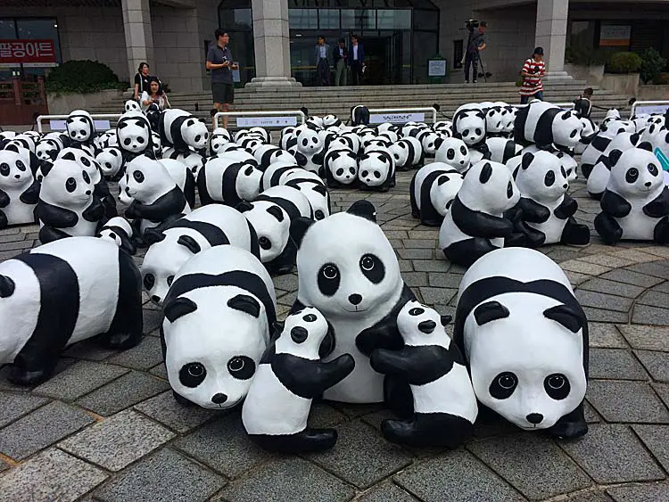 1600 pandas Corée