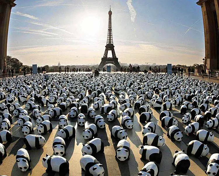 1600 pandas paris