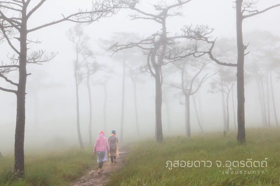 trek uttaradit