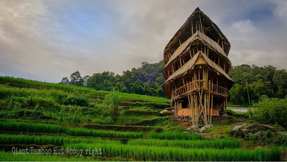 giant bamboo hut chiang mai