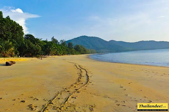 Iles peu touristique Thaïlande