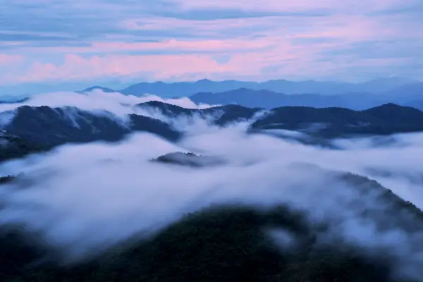 phu toei suphnburi