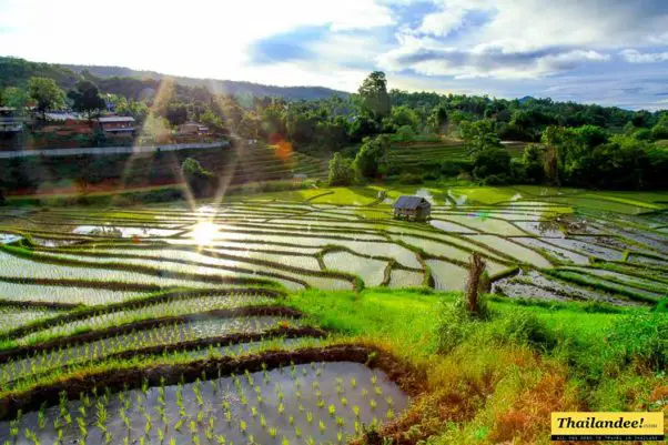 rizieres-montagnes-thailande