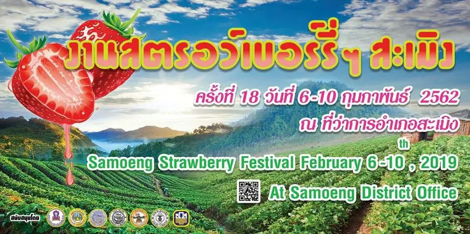 festival des fraises chiang mai thailande