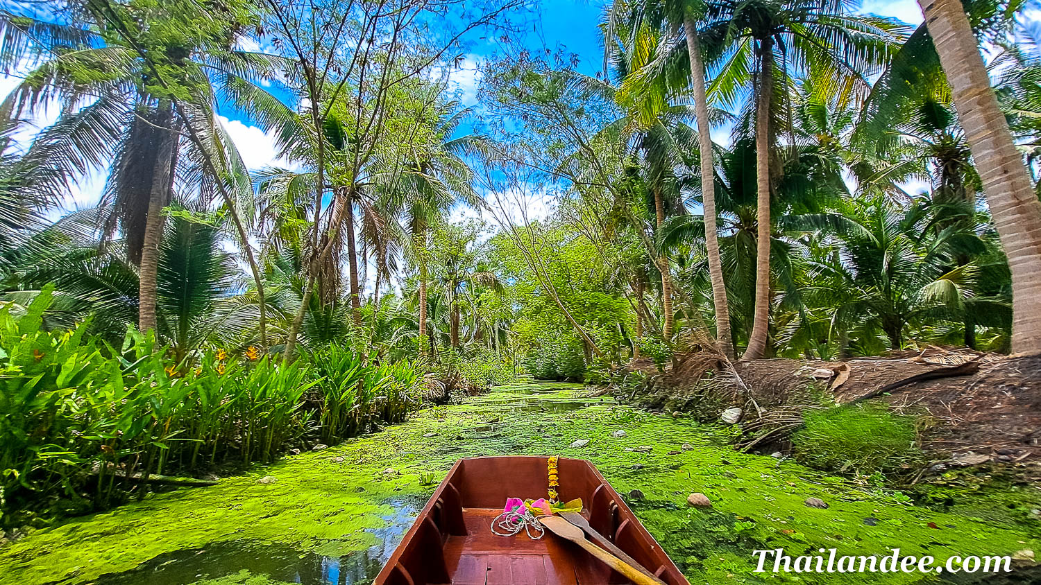 lonely planet dévoile ses meilleures destinations pour 2025 : ses recommandations en thaïlande en retrait