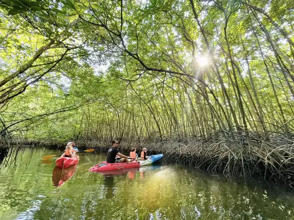 une journée avec la communauté locale de ban tha din daeng à khao lak