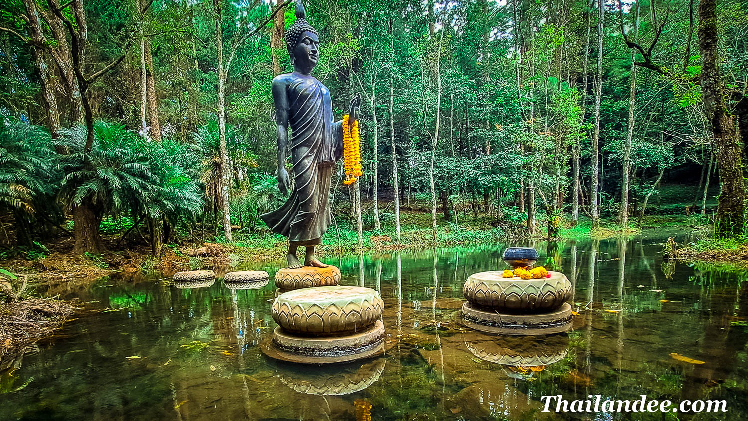 classiques de chiang rai et montagnes en français