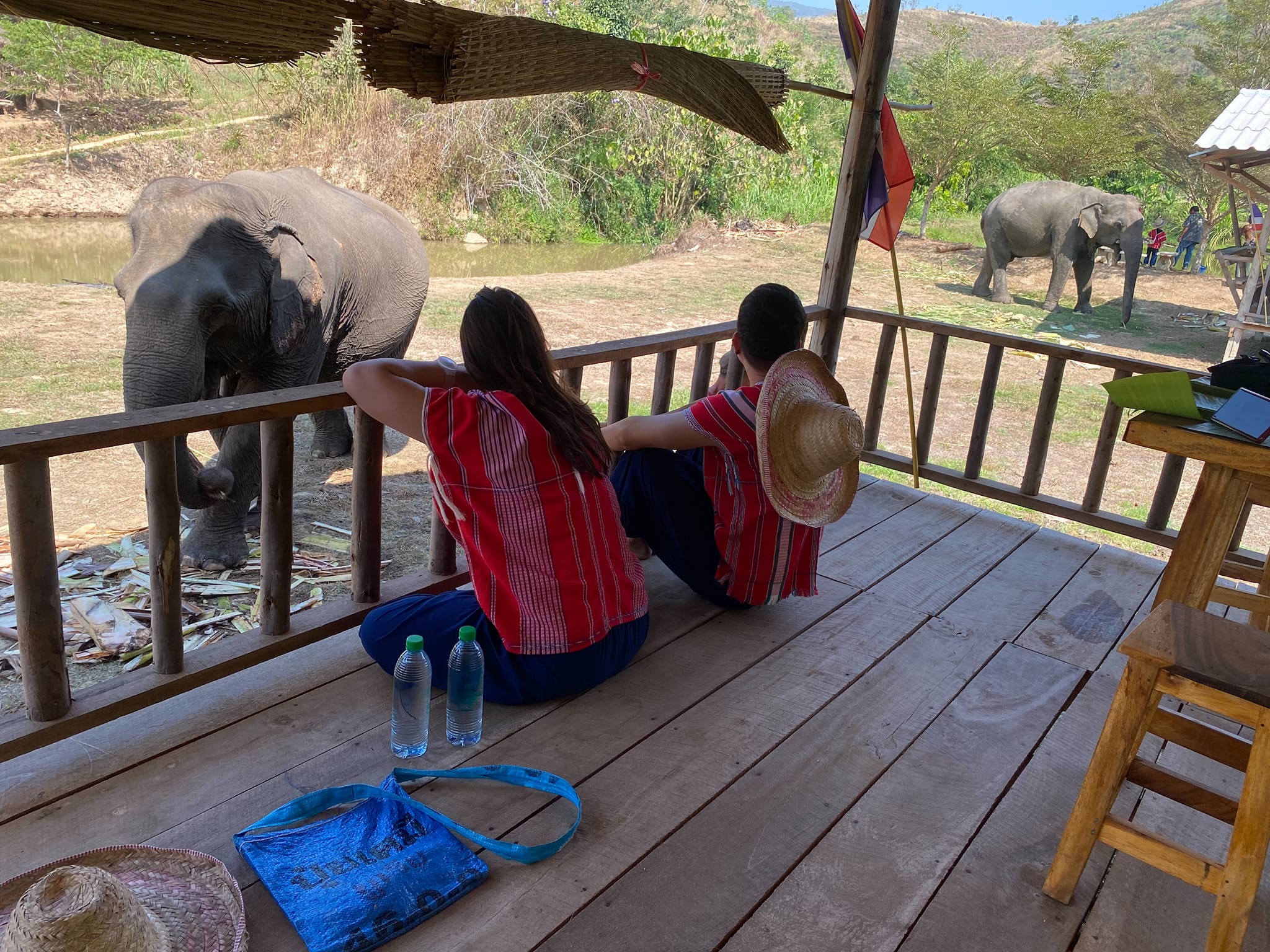ethical encounter with elephants in chiang rai