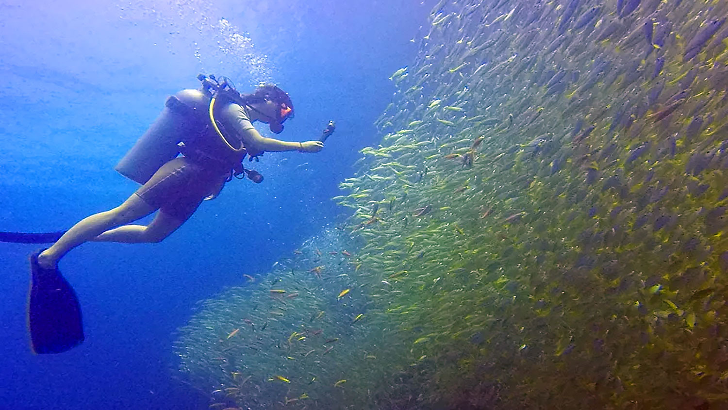 phiphi underwater