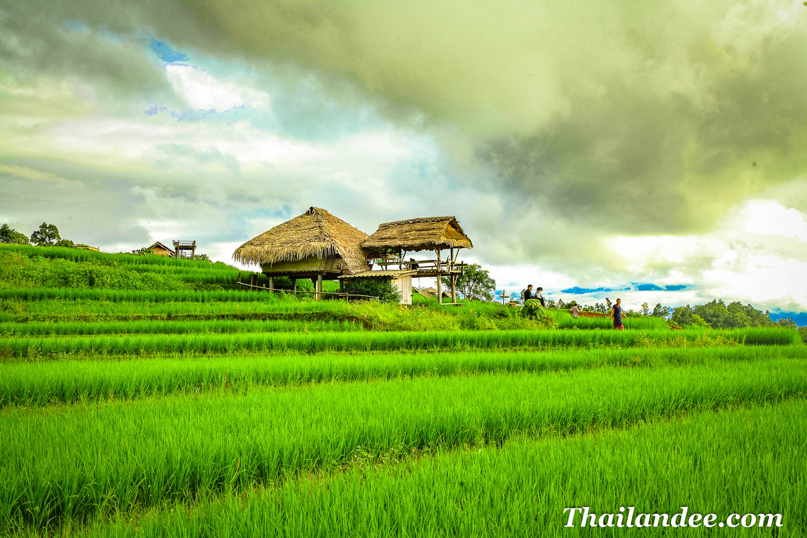 la thaïlande du nord au sud sur mesure