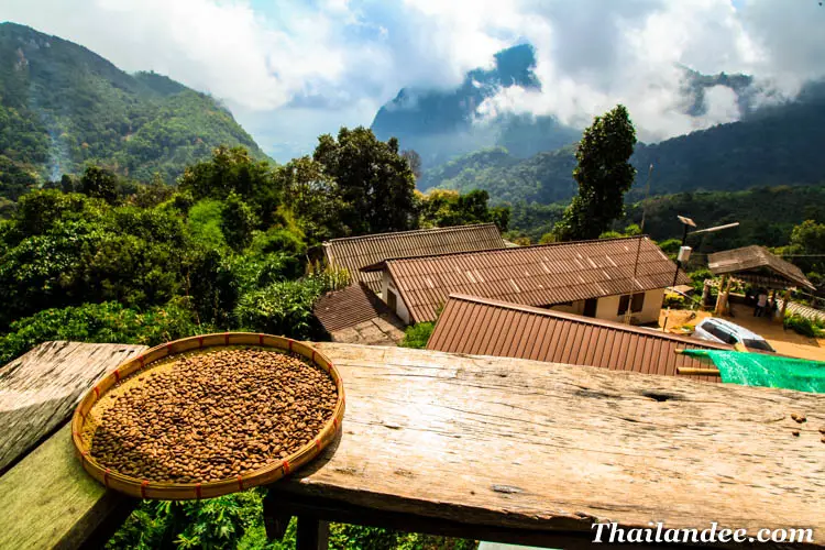 tour dans les montagnes de chiang rai jusqu'au triangle d'or