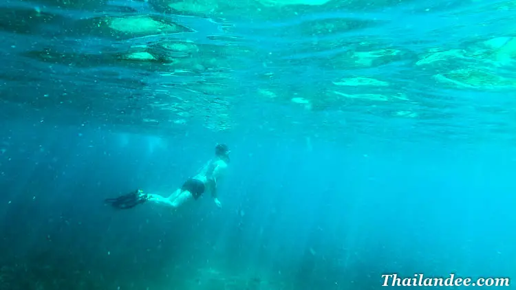 excursion aux îles surin : découvrez le paradis du snorkeling en thaïlande