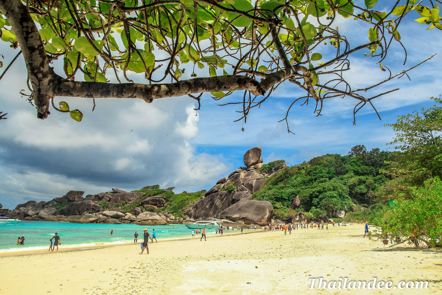 snorkeling excursion to the similan islands from khao lak