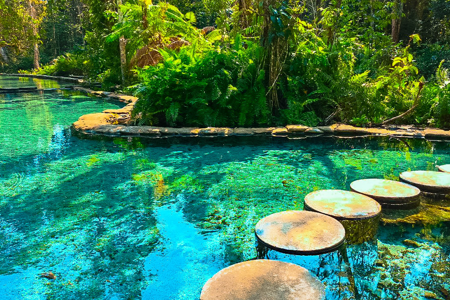 khao sok 2 jours / 1 nuit: temple perché et piscine naturelle et lac de chiew larn