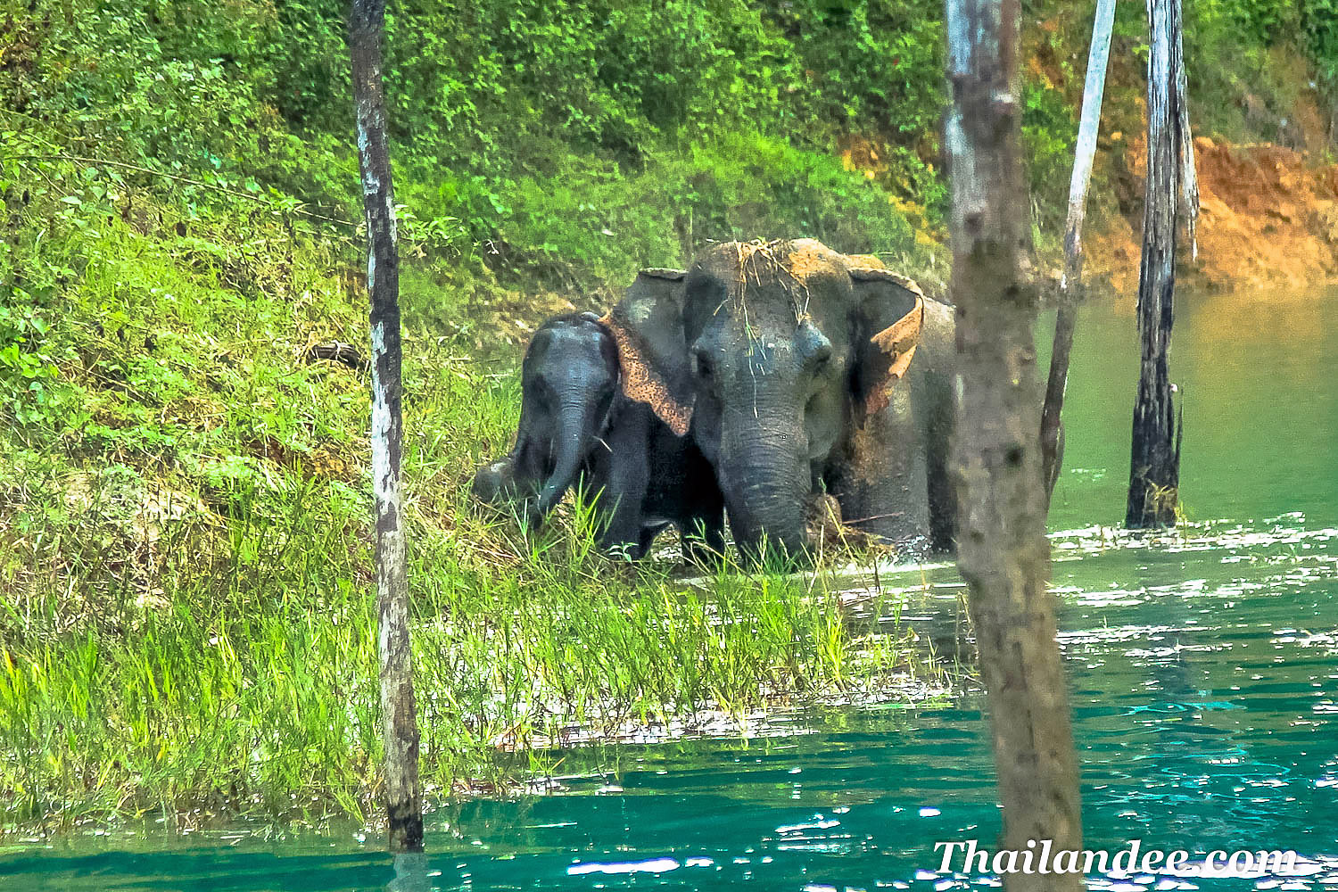 excursion 3 jours et 2 nuits à la découverte de khao sok et son lac